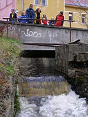 PB115035.JPG