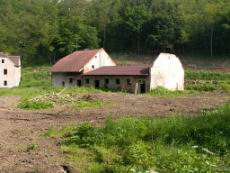 PICT2238.JPG